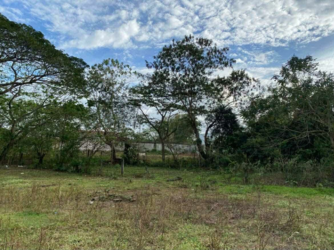 500sqm Lot for Rent in Dasmariñas Cavite (OB1049)